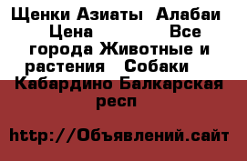 Щенки Азиаты (Алабаи) › Цена ­ 20 000 - Все города Животные и растения » Собаки   . Кабардино-Балкарская респ.